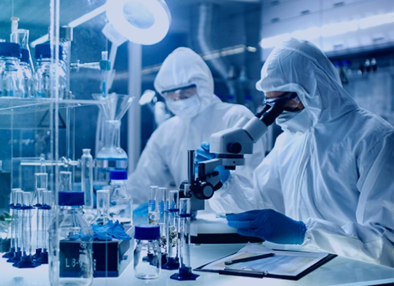 广州生物技术研发：从实验室到产业化的关键路径与实操要点