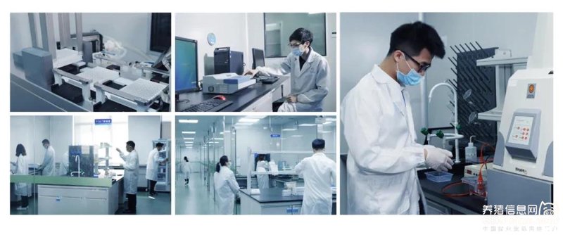 广州生物技术研发全解析：技术方向、成果转化与合作路径